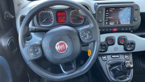 Fiat Panda City Cross 1.0 70PS 2022